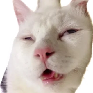 😴 emoji Стикеры Люси 2.0 Telegram sticker 19 of 39