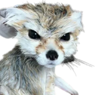 Sticker from Стикеры Люси 2.0