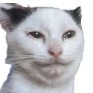 Sticker from Стикеры Люси 2.0