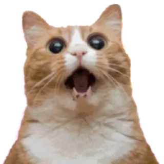 🥴 emoji Стикеры Люси 2.0 Telegram sticker 11 of 39
