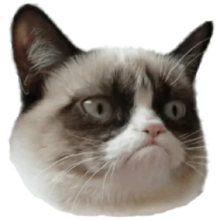 ☹️ emoji Стикеры Люси 2.0 Telegram sticker 10 of 39