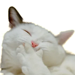 😁 emoji Стикеры Люси 2.0 Telegram sticker 15 of 39