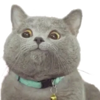 🙂 emoji Стикеры Люси 2.0 Telegram sticker 23 of 39