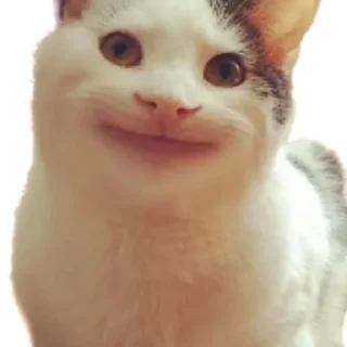 😄 emoji Стикеры Люси 2.0 Telegram sticker 24 of 39