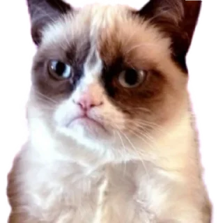 😕 emoji Стикеры Люси 2.0 Telegram sticker 22 of 39