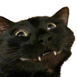 😅 emoji Стикеры Люси 2.0 Telegram sticker 12 of 39