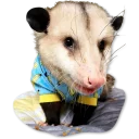 😔 emoji Opossum-Sesame Telegram sticker 5 of 30