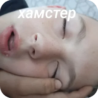 Sticker from Назавчик :: @gptVPNrbot