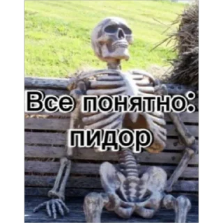 😄 emoji Скелет соло Telegram sticker 16 of 30