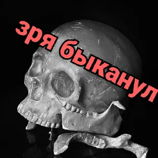 🤼 emoji Несносный скелет Джо Telegram sticker 11 of 67