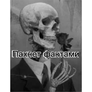 Sticker from Скелет соло