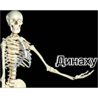 🖕 emoji Скелет соло Telegram sticker 5 of 30