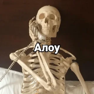 📞 emoji Несносный скелет Джо Telegram sticker 24 of 67