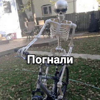 🚴‍♂️ emoji Несносный скелет Джо Telegram sticker 22 of 67