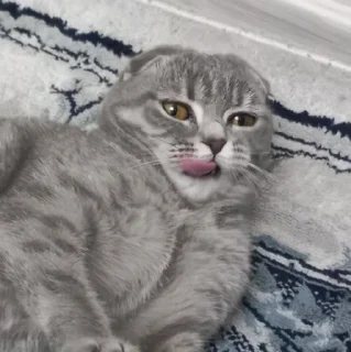 Sticker from Ахуеть не встать