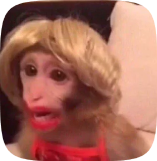 🙈 emoji бибизянтусы мари Telegram sticker 22 of 43