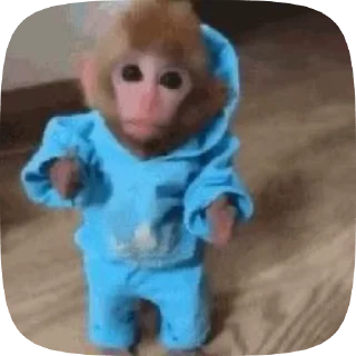 🙈 emoji бибизянтусы мари Telegram sticker 17 of 43