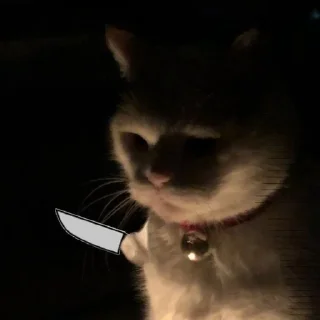 😠 emoji Котики^^ Telegram sticker 23 of 54