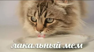 🌟 emoji Стикеры @bebranimus Telegram sticker 15 of 112
