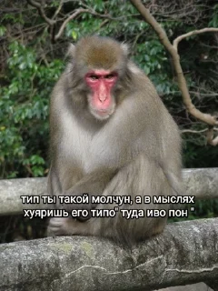 Sticker from анал