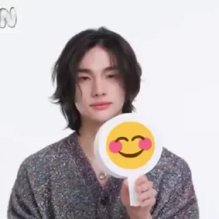 Sticker from SKZ memes