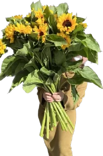 🌻 emoji DV_flowers Telegram sticker 6 of 36
