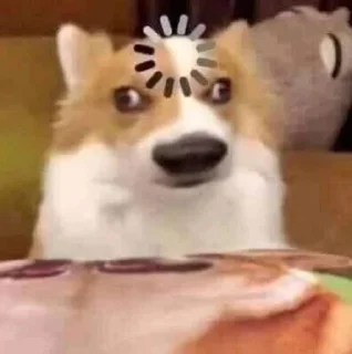 🌟 emoji собаки Telegram sticker 11 of 85
