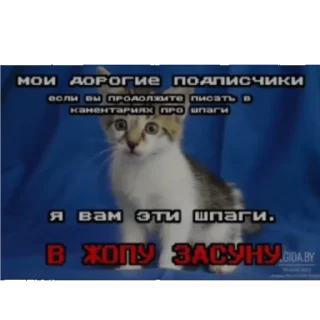 Sticker from Милые стикеры^^