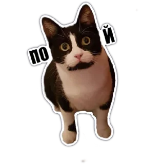 🤷‍♂️ emoji GOAT Telegram sticker 6 of 14