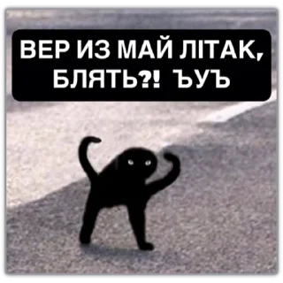 Sticker from GOAT