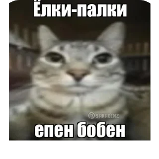 Sticker from муд:жизнь