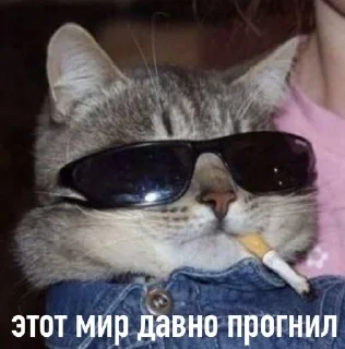 Sticker from муд:жизнь