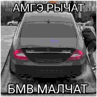 Sticker from Адольф 🏴‍☠️