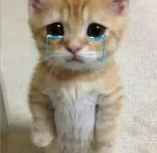 😭 emoji 💕Стики тут: @sekstick Telegram sticker 5 of 57