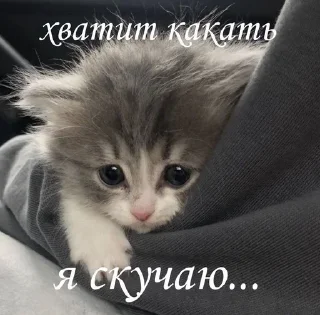 Sticker from сборная солянка =)
