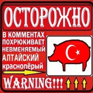 🇹🇷 emoji Turk — @stckrRobot Telegram sticker 10 of 120