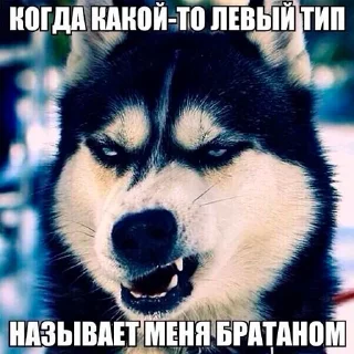 😒 emoji битбокс батл с яйцами Telegram sticker 12 of 57