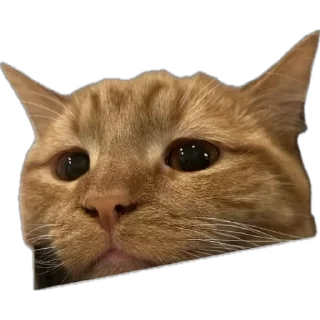 Sticker from Kuzya 2.0