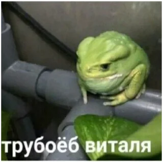 🐸 emoji Лол Telegram sticker 15 of 77