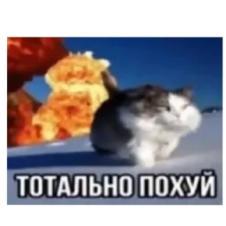Sticker from Просто
