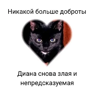 🐱 emoji Диана Telegram sticker 9 of 23