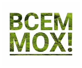Sticker from Мох