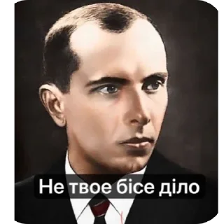 🫥 emoji Степан бандера Telegram sticker 9 of 13