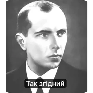 🫥 emoji Степан бандера Telegram sticker 11 of 13