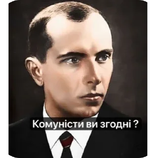 🫥 emoji Степан бандера Telegram sticker 8 of 13