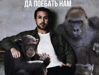 Sticker from раян гослинг