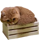 😴 emoji 🖤🖤🖤🖤🖤🖤🖤🖤🖤🖤🖤🖤🖤🖤🖤🖤🖤🖤🖤🖤🖤🖤🖤 — @stckrRobot Telegram sticker 12 of 120