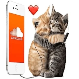 кошки приятные пожелания пикчи sticker 2