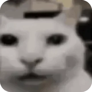🌟 emoji Коты😘 Telegram sticker 7 of 20