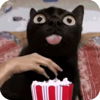🌟 emoji Коты😘 Telegram sticker 9 of 20